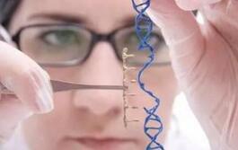 诺奖得主巴尔的摩：基因疗法将改变未来