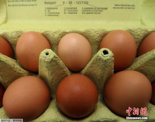毒鸡蛋事件发酵：奥地利进口蛋制品现杀虫剂成分