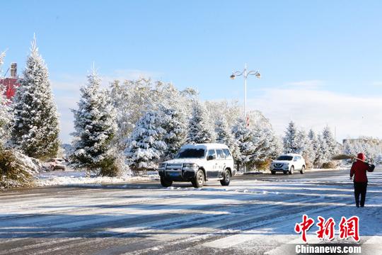 路边树木被积雪覆盖，车辆小心行驶。　郝胜忠　摄