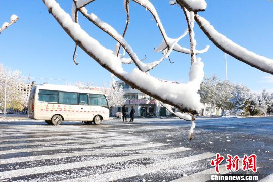 新疆兵团边境团场迎入秋来首场强降雪雪后美景如画